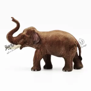 فیگور فیل هندی