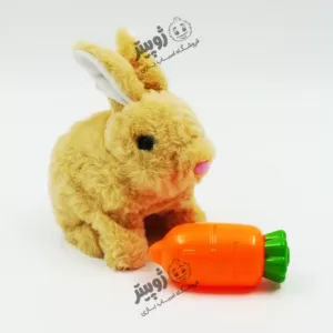 ربات خرگوش و هویج